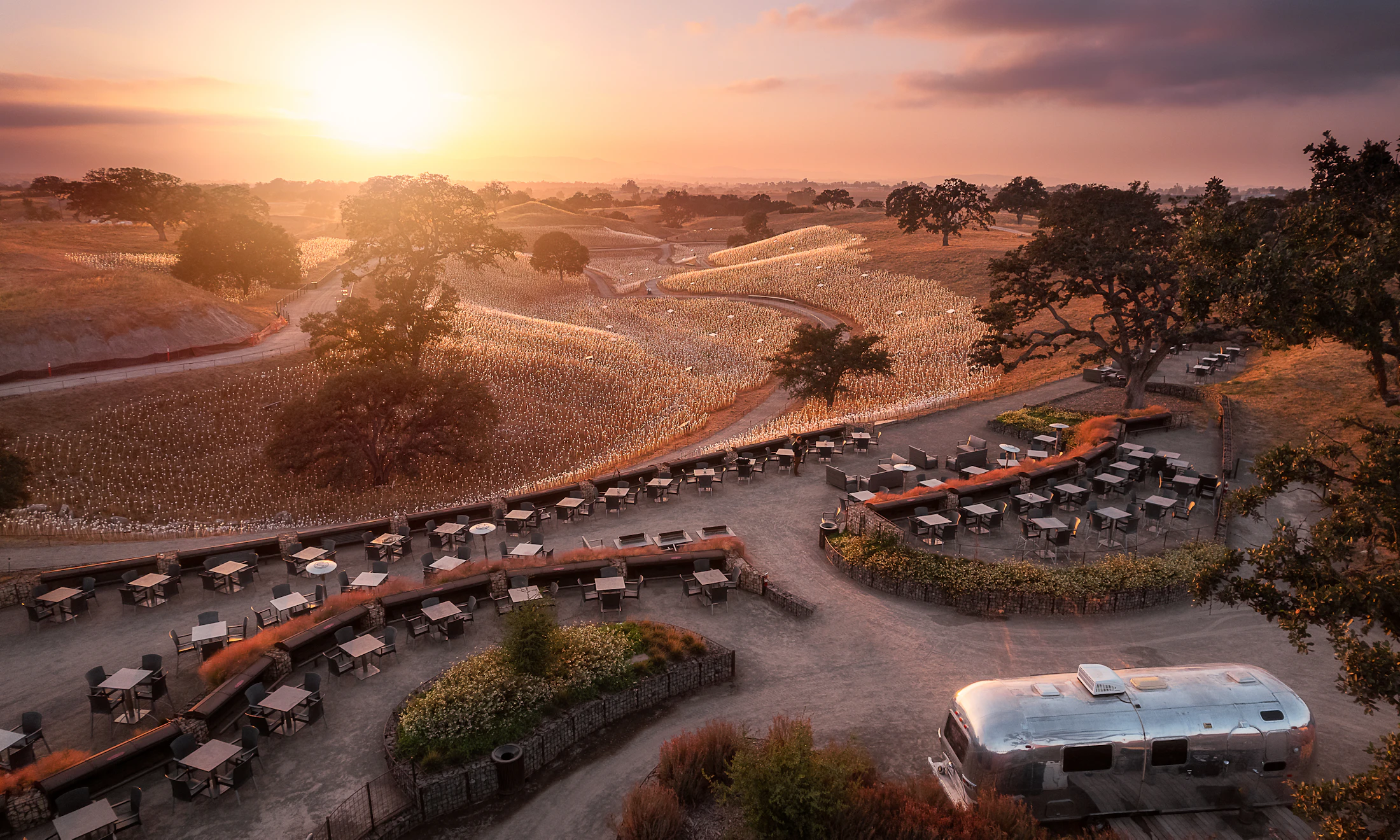 Groups / Private Events | Sensorio Paso Robles